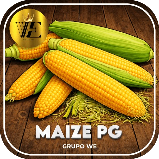 MAIZE PG